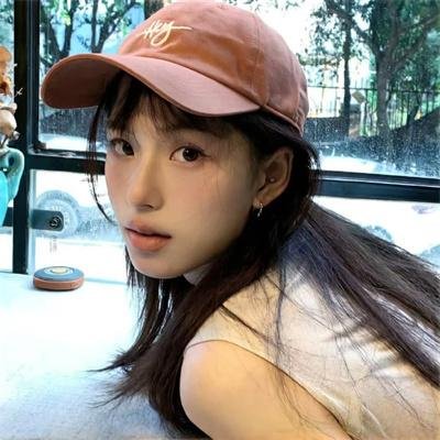 高速路上一只猫